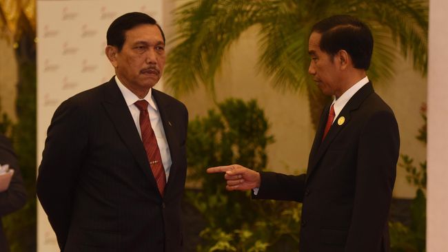 Direktur P3S Pertanyakan Keputusan Jokowi Tunjuk Luhut untuk Penanganan Covid-19